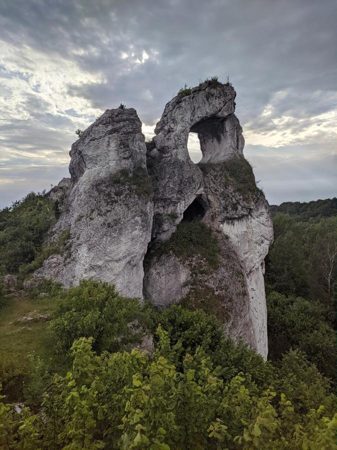 Appartement Moje Miejsce Jura à Lgota Murowana Extérieur photo